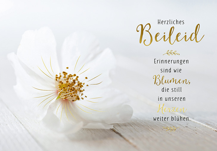 Neue Lebensart Umschlagkarte