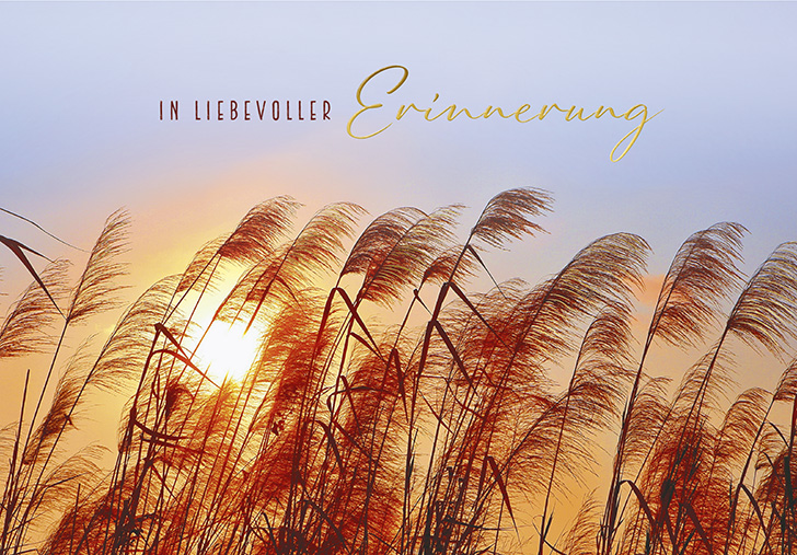 Neue Lebensart Umschlagkarte