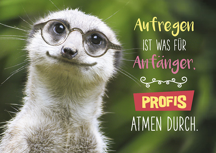 Neue Lebensart Postkarte