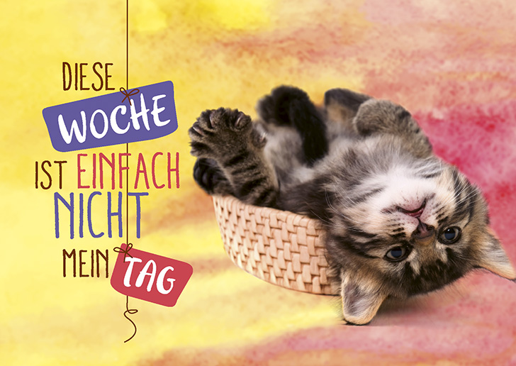 Neue Lebensart Postkarte